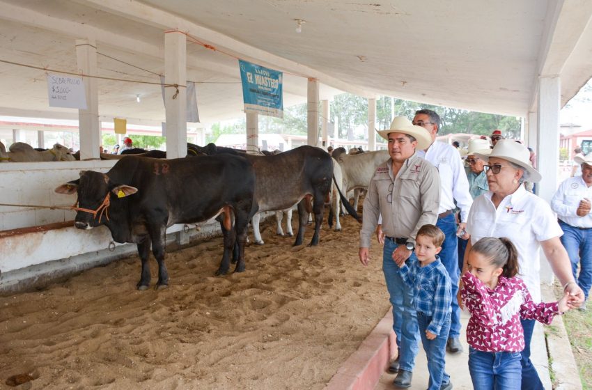 Llevan Programa al municipio de Aldama