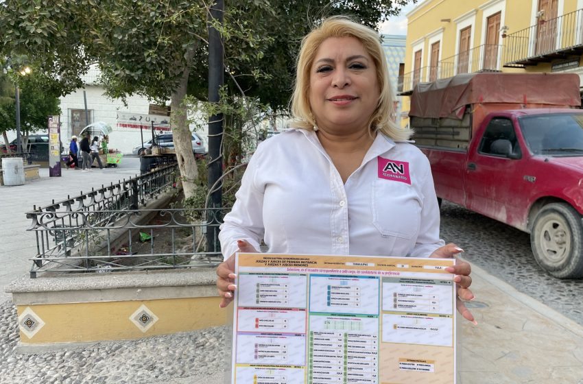 Candidata a Juez recorre calles de Tula