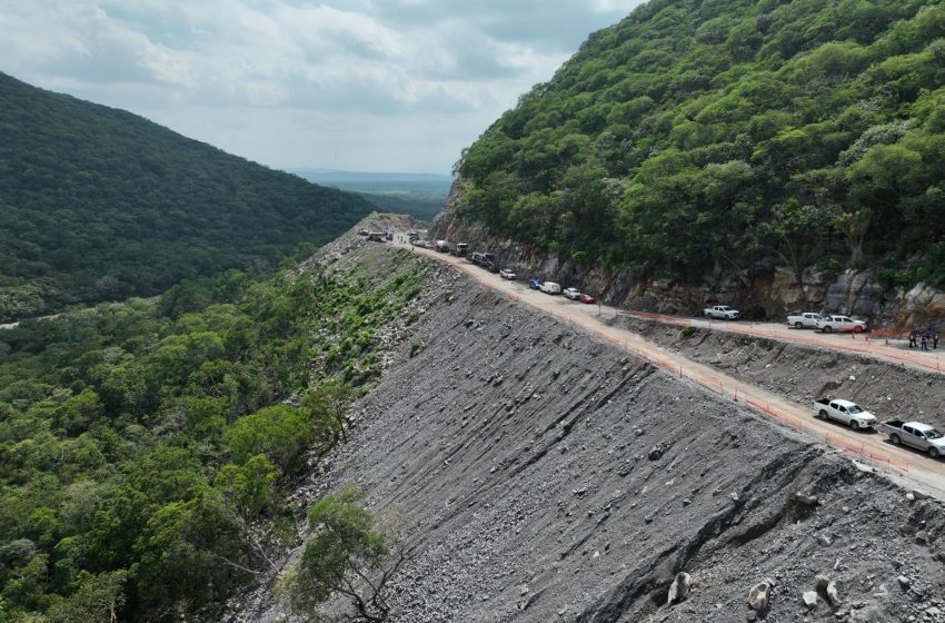 Impulsan infraestructura verde