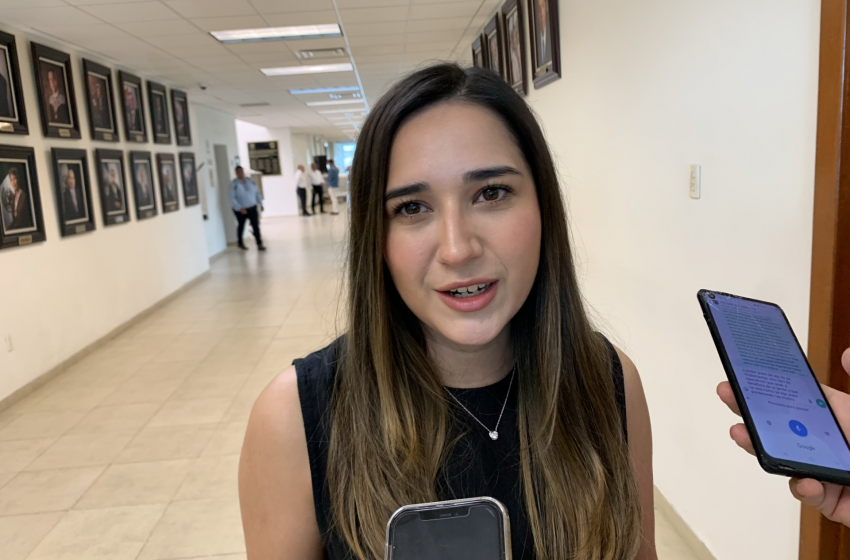  Diputada pide no abusar de operativos de tránsito en hospitales