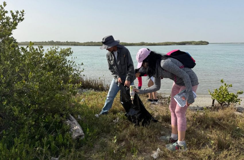Colabora la UAT en la conservación del mangle en el litoral tamaulipeco