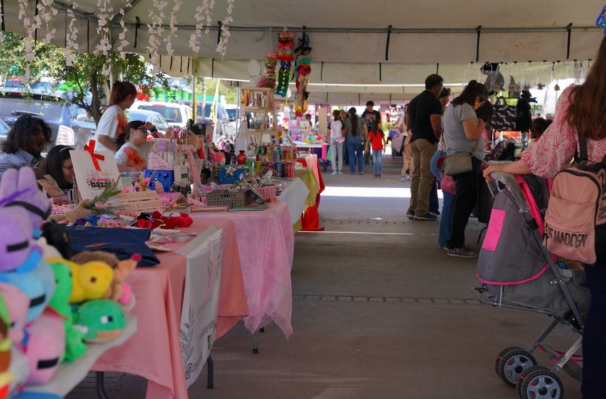  INVITA GOBIERNO MUNICIPAL AL BAZAR SUMMER ESTE SÁBADO EN EL PARQUE VIVEROS