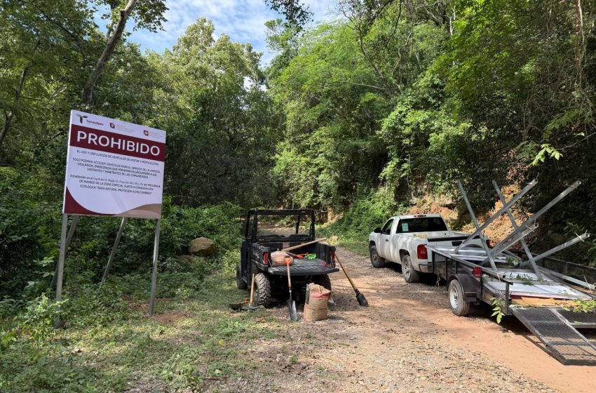  Coordinan estrategia de protección ecológica en Altas Cumbres y Los Troncones
