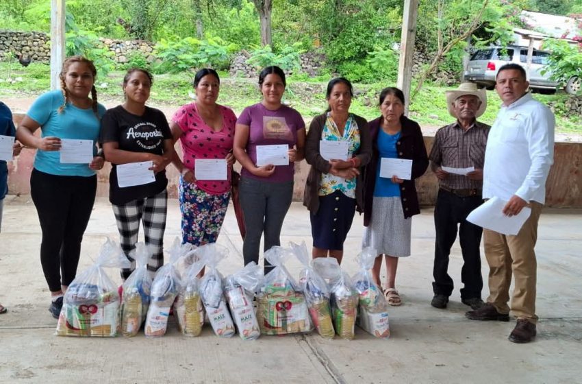  Entrega de apoyos sociales se mantendrá en periodo vacacional