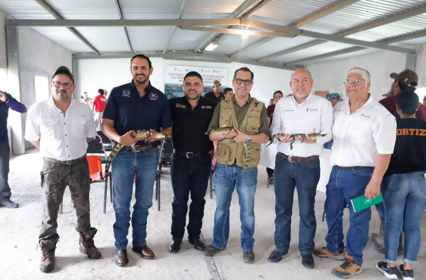  Colabora la UAT en la conservación y control del cocodrilo morelet
