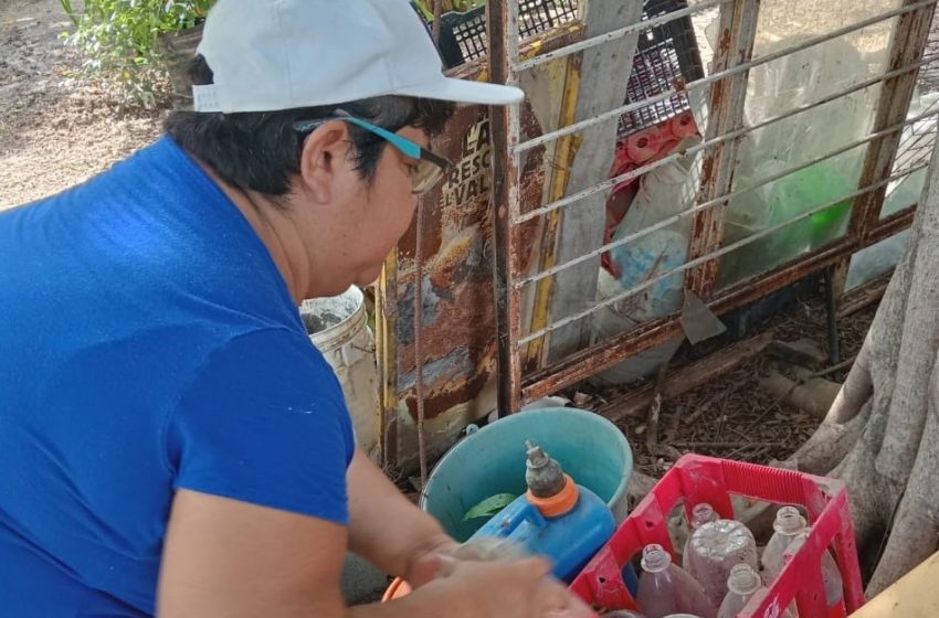 Llama IMSS Tamaulipas a reforzar medidas de prevención contra dengue