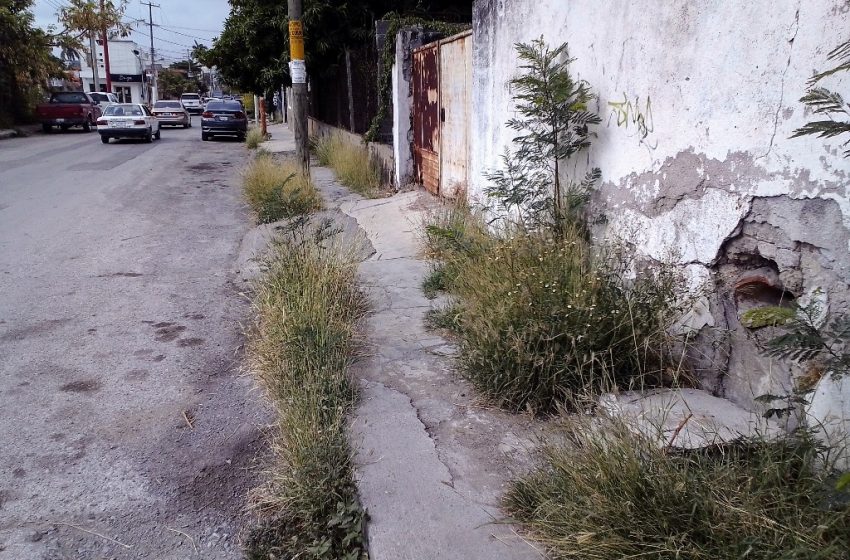 Con más turnos, intentan ganarle a la maleza