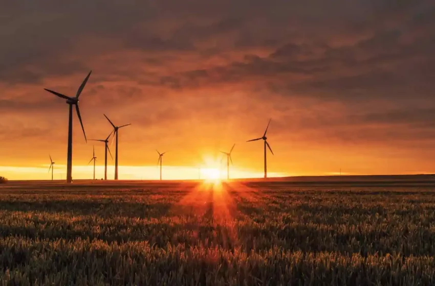 México, EE.UU. y Canadá revisan la implementación del capítulo de Medio Ambiente del T-MEC