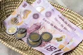 “Propina buena, salario bajo”