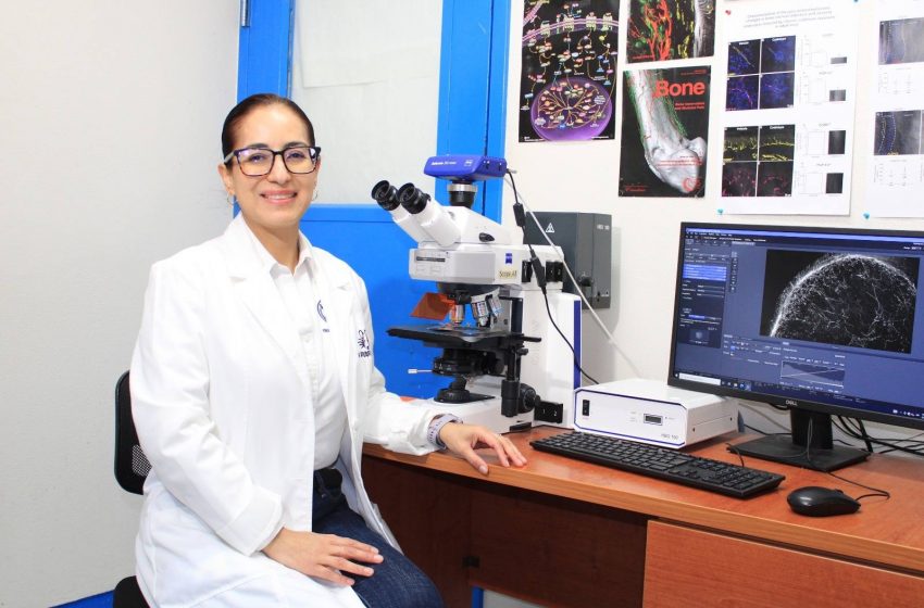  Investigadores de la UAT obtienen certificación nacional