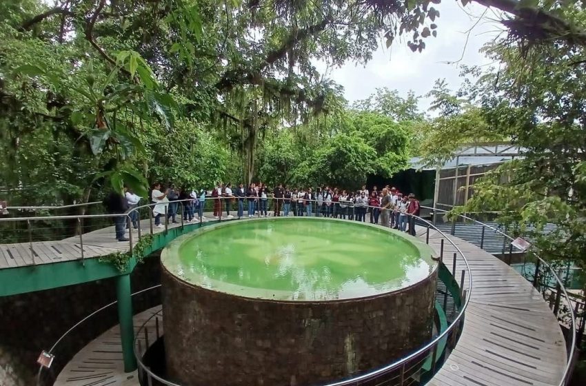 Es el Parque Ecológico Biósfera El Cielo, espacio clave para la educación ambiental y el ecoturismo en Tamaulipas
