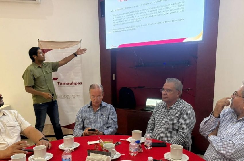  Impulsa STPS aplicación de la Ley Silla en el sector de la construcción