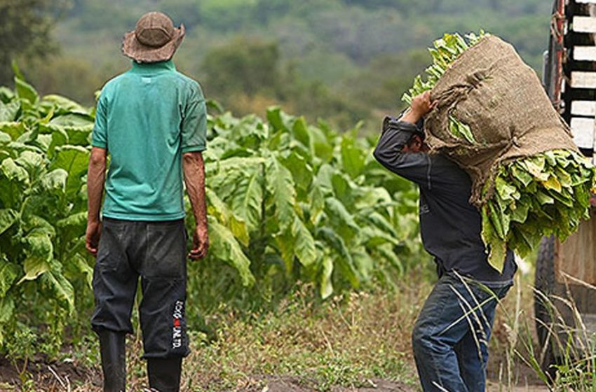 Logran campesinos acuerdo parcial con el gobierno federal.