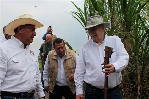 Cañeros del país exigen a Economía aplicar aranceles a importación de azúcar.
