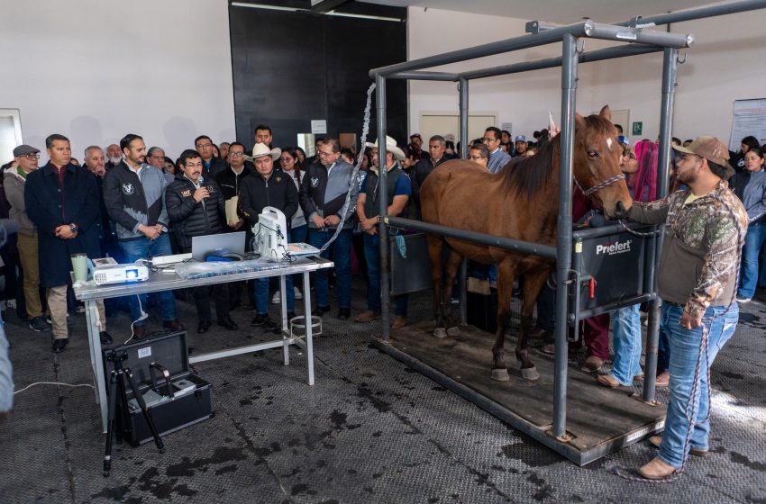  Equipa la UAT con alta tecnología Hospital Veterinario de Grandes Especies