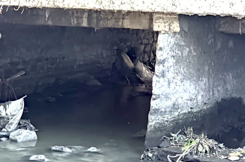  Atienden la PAUT posible riesgo ambiental en El Mante por fuga en drenaje