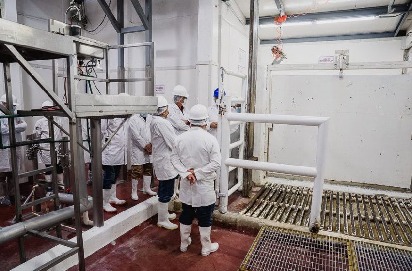  Tamaulipas exporta calidad: rastro de Veterinaria UAT recibe certificación TIF y abre puertas al mundo