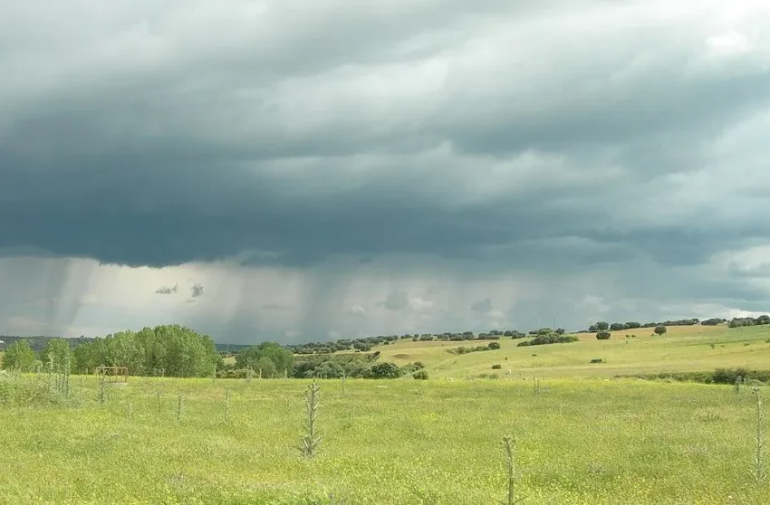  LLUVIAS REACTIVAN EL CAMPO EN LA REGIÓN CENTRO Y ABREN LA PUERTA A UN CICLO AGRÍCOLA INÉDITO
