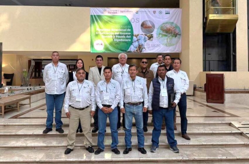  Participa Tamaulipas en reunión binacional para fortalecer la sanidad del algodón