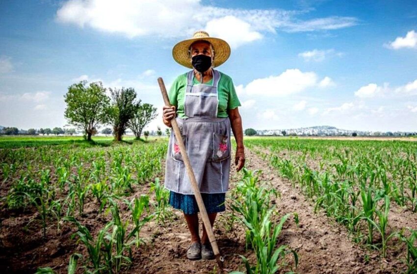  Impulsan acceso de mujeres a la tierra en Tamaulipas