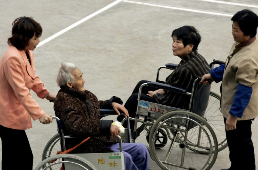  La aplicación ‘¿Te has muerto?’ reabre debate sobre la soledad y el envejecimiento en China