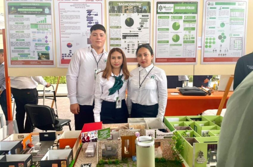  Innovación UAT: Crean panel de bagazo de caña para construcción