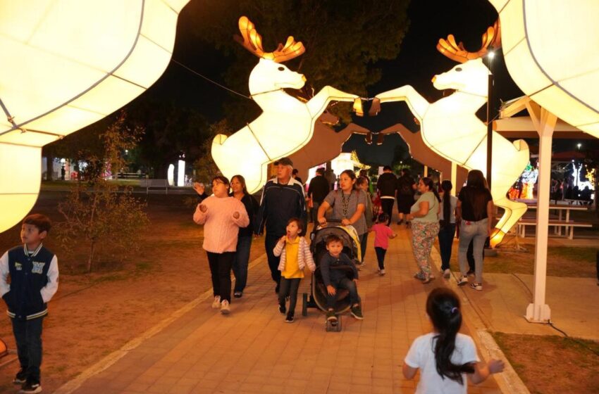  MÁS DE 400 MIL PERSONAS DISFRUTARON DEL VIVEROS MÁGICO DURANTE LA TEMPORADA