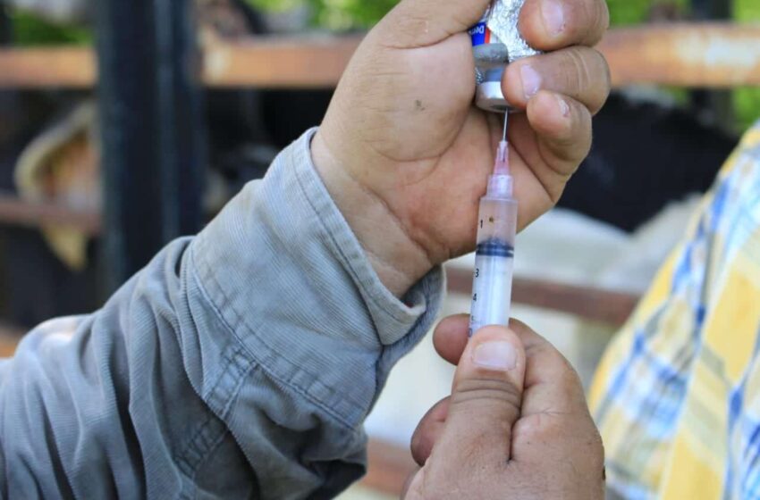  PREOCUPAN PRESUNTOS CASOS DE RABIA PARALÍTICA EN GANADO