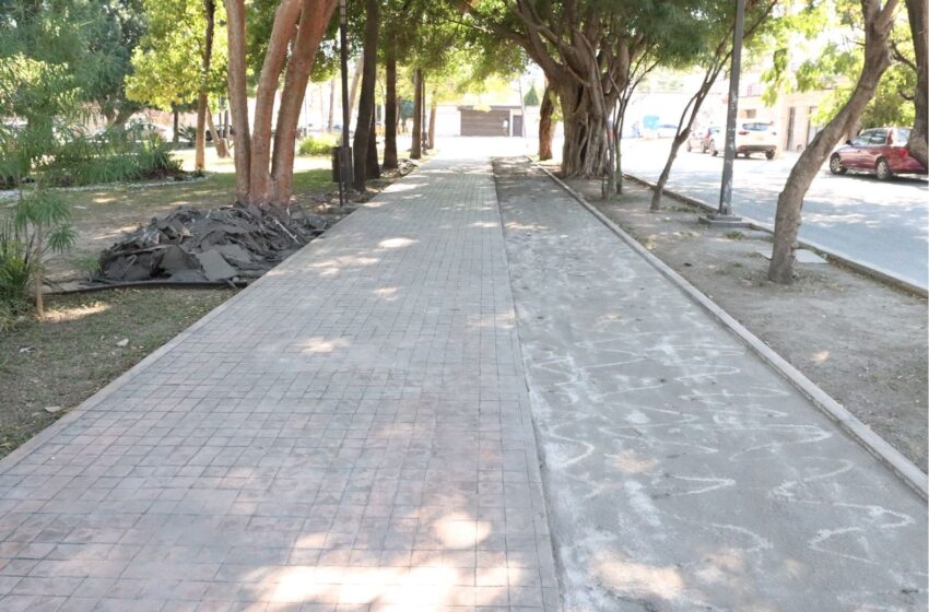  Remodela gobierno de Américo Paseo Méndez en Ciudad Victoria