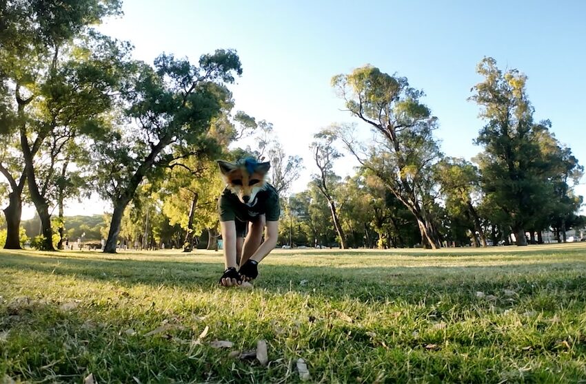  Cuestionan fenómeno “therian” en Tamaulipas