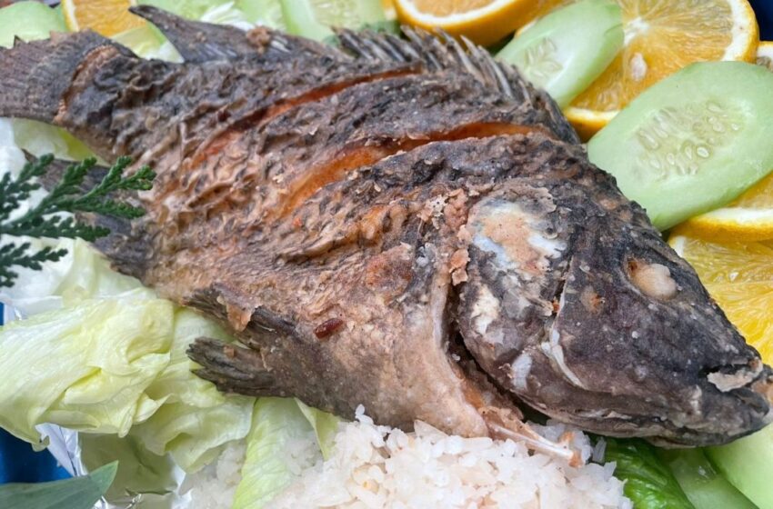  Encarece proteína de mar hasta 15% en Cuaresma: ANPEC