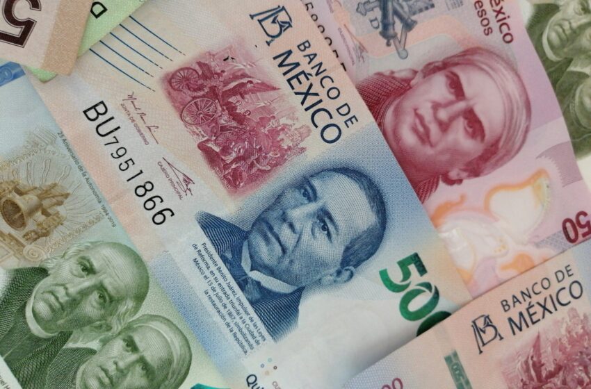  Impacto financiero del trabajo no remunerado