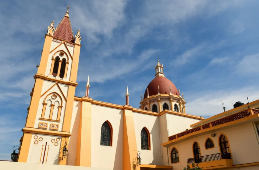  Orquídeas de El Mante destacarán en festival internacional en Veracruz