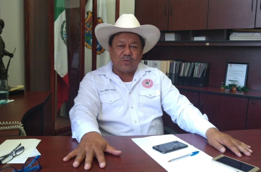  Sorgo cae y diésel sube: duro golpe al campo tamaulipeco