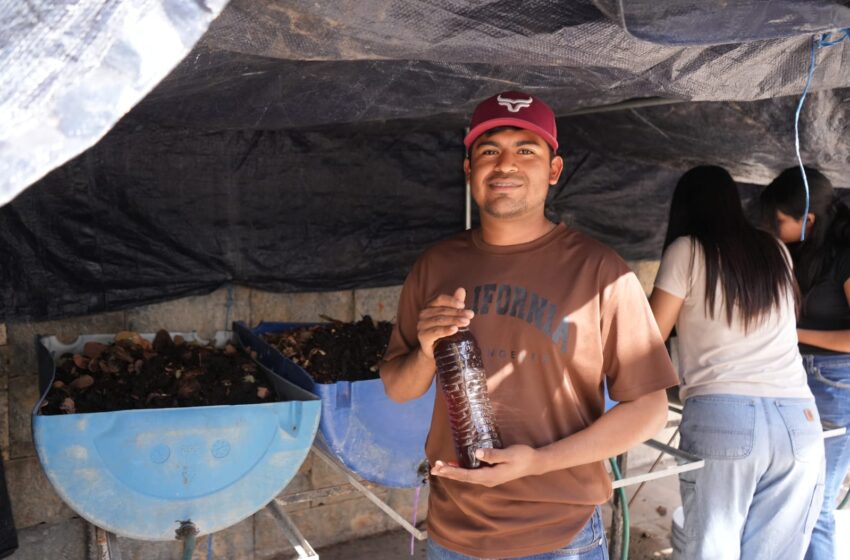  Desarrolla la UAT biofertilizantes líquidos a partir de lombricomposta