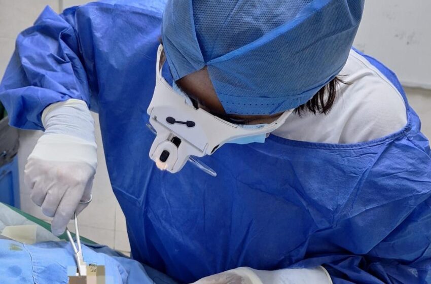  IMSS logra 20 trasplantes corneales en 2026 gracias a la voluntad de pacientes