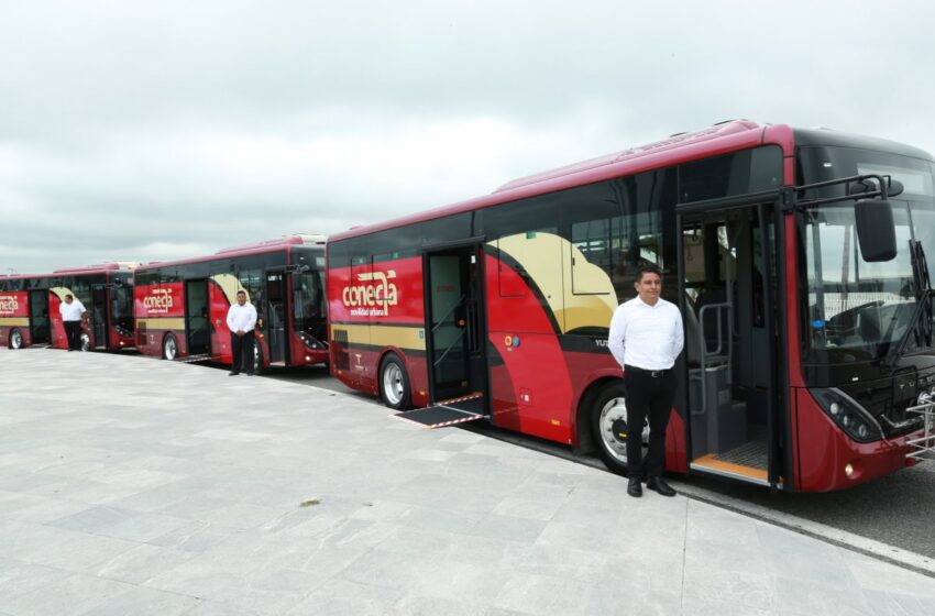  Victoria tendría transporte híbrido a partir de mayo