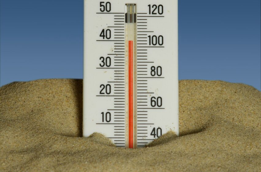  El calor no es solo incomodidad