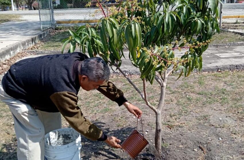  Fomenta IMSS Tamaulipas la cultura ambiental con vivero institucional