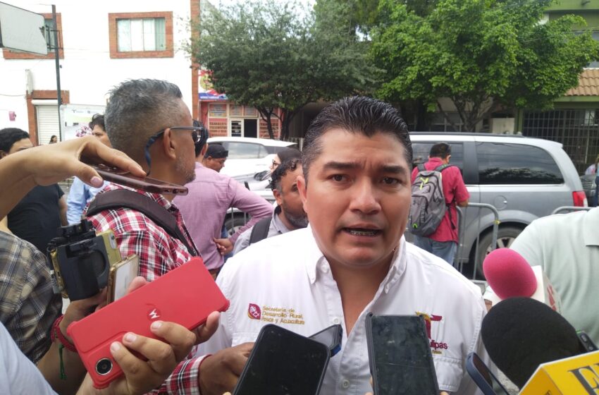  ESPERA TAMAULIPAS MOSCA ESTÉRIL PARA ERRADICAR EL BARRENADOR