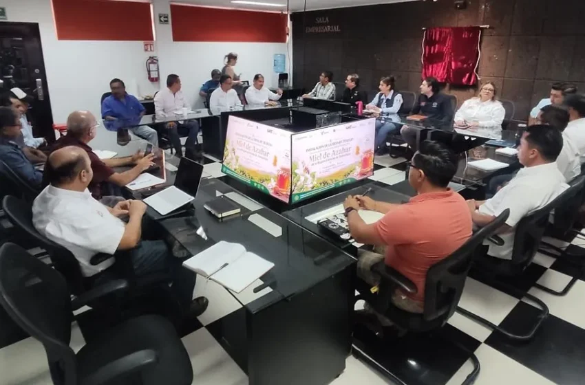  Arrancan los trabajos para la protección legal y certificación de la Miel de Azahar de Tamaulipas