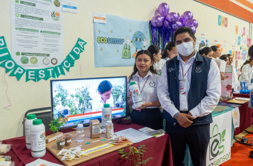  Desarrolla alumna de la UAT biopesticida que elimina plagas agrícolas