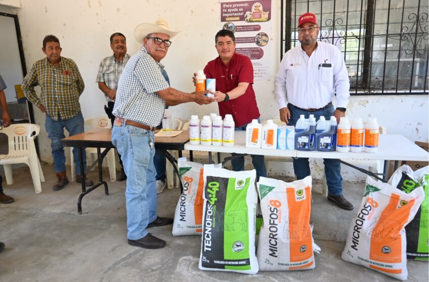  Fortalecen  la sanidad animal y la productividad del campo con apoyos pecuarios