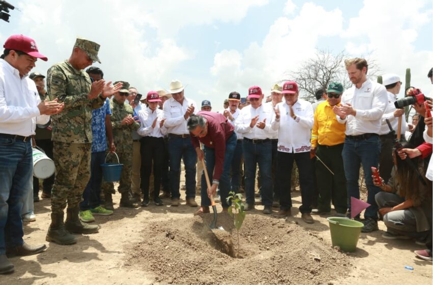  Tamaulipas participa en Jornada Nacional de Reforestación; se plantarán 15 mil árboles: Américo