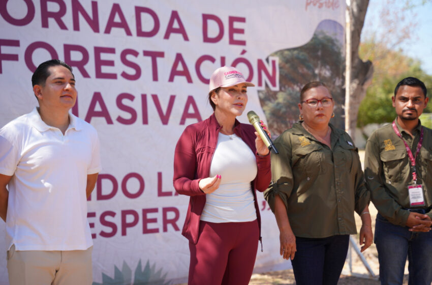  SE SUMA GOBIERNO DE CARMEN LILIA CANTUROSAS A JORNADA NACIONAL DE REFORESTACIÓN