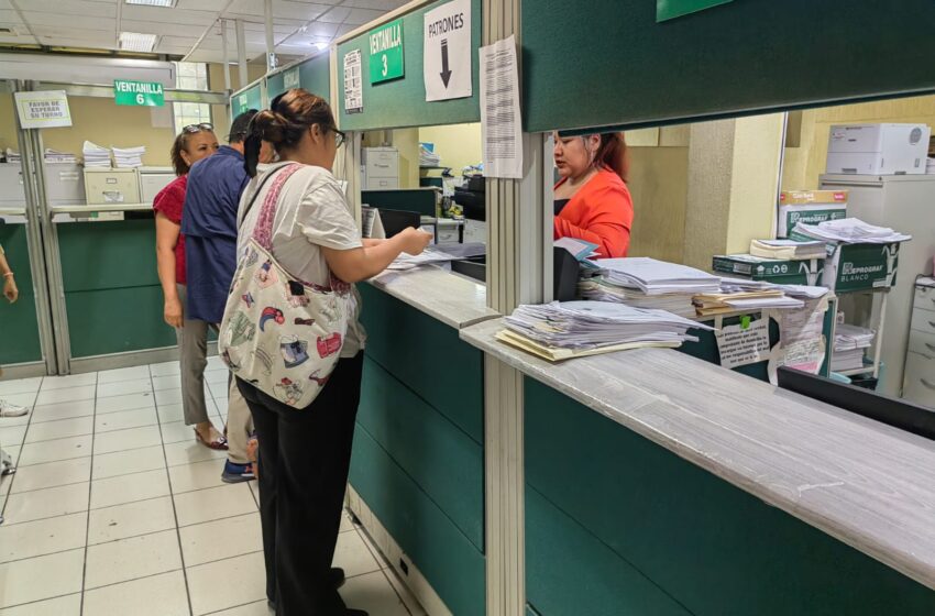  Sustituye IMSS Tamaulipas NPIE por e.firma para trámites patronales