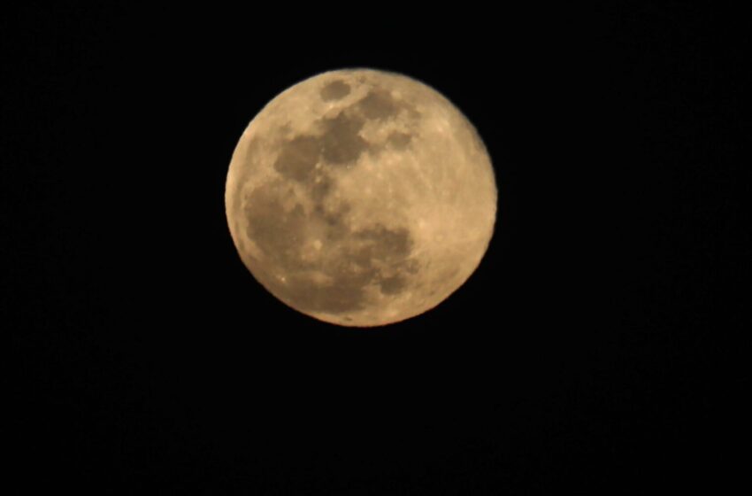  La NASA alerta del riesgo de que los microbios humanos contaminen el polo sur de la Luna
